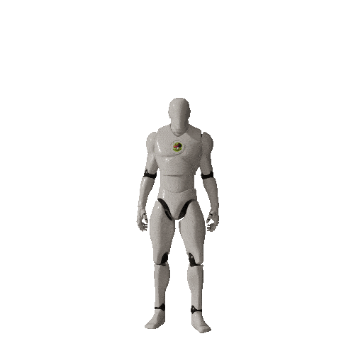 Animation